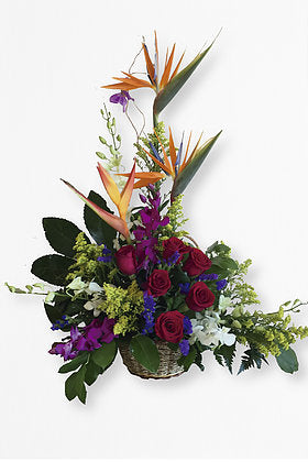 GLW029 - EXOTIC FLOWERS BASKET